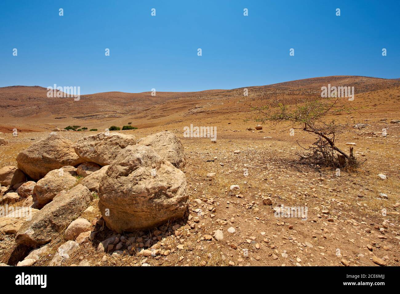 Il deserto del Negev in Israele Foto Stock