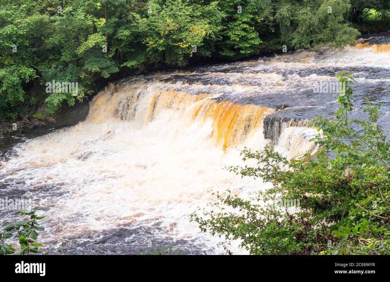 Cascate di Aysgarth con il fiume Ure in acque termali dopo la pioggia pesante, Yorkshire, Inghilterra, Regno Unito Foto Stock