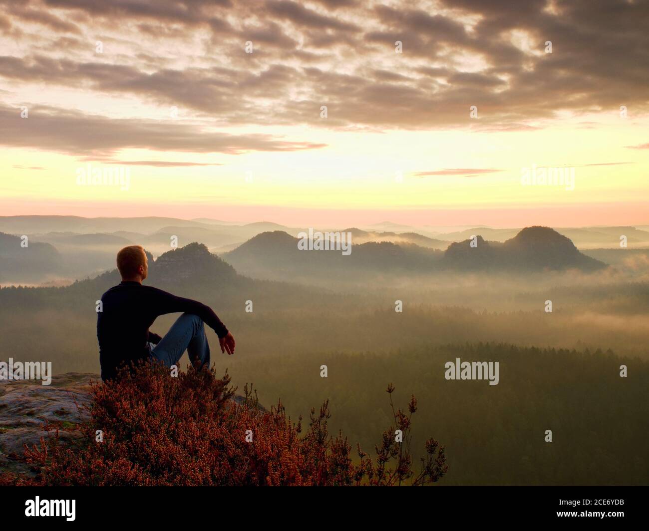 Alto escursionista in camicia scura sedersi su un cespugli di erica rockatn, godere di un misty scenario mattutino Foto Stock