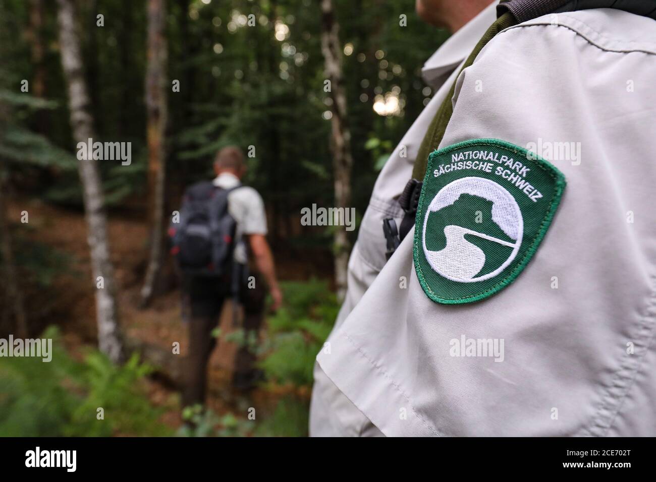Bad Schandau, Germania. 24 luglio 2020. Rangers del Parco Nazionale Amministrazione Saxon Svizzera Parco Nazionale passeggiata attraverso la foresta. Sulla manica di un ranger c'è un cerotto dallo stemma del Parco Nazionale della Saxon Administration. Credit: Tino Plunert/dpa-Zentralbild/ZB/dpa/Alamy Live News Foto Stock