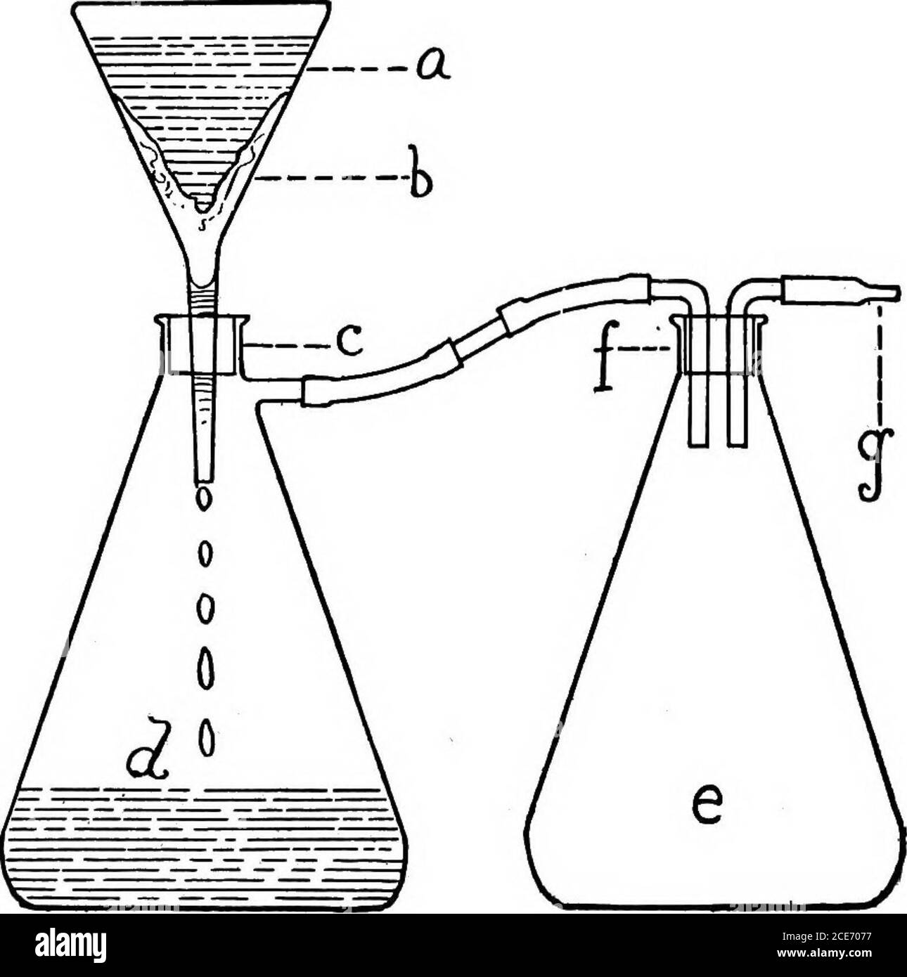 . Una guida di laboratorio in batteriologia, per l'uso di studenti, insegnanti e professionisti. I8 GUIDA DI LABORATORIO IN BATTERIOLOGIA filtrata rapidamente mediante l'uso di apparecchi idonei, come indicato in Fig. lo. Al collegamento con la pompa a vuoto deve essere inserita una valvola o un matraccio con uno sfregamento. Mezzo filtrante FLG. lo per mezzo di Pumpa sottovuoto. Mezzo liquido c. Reiex flaslc 6. Cotone assorbente /. Tappo in gomma con due fori c. Tappo in gomma g. Collegamento con aspiratore d. Il sughero filtrato medio con due fori può prendere il suo posto, per evitare che l'acqua penetri nel matraccio. Qualsiasi meto Foto Stock
