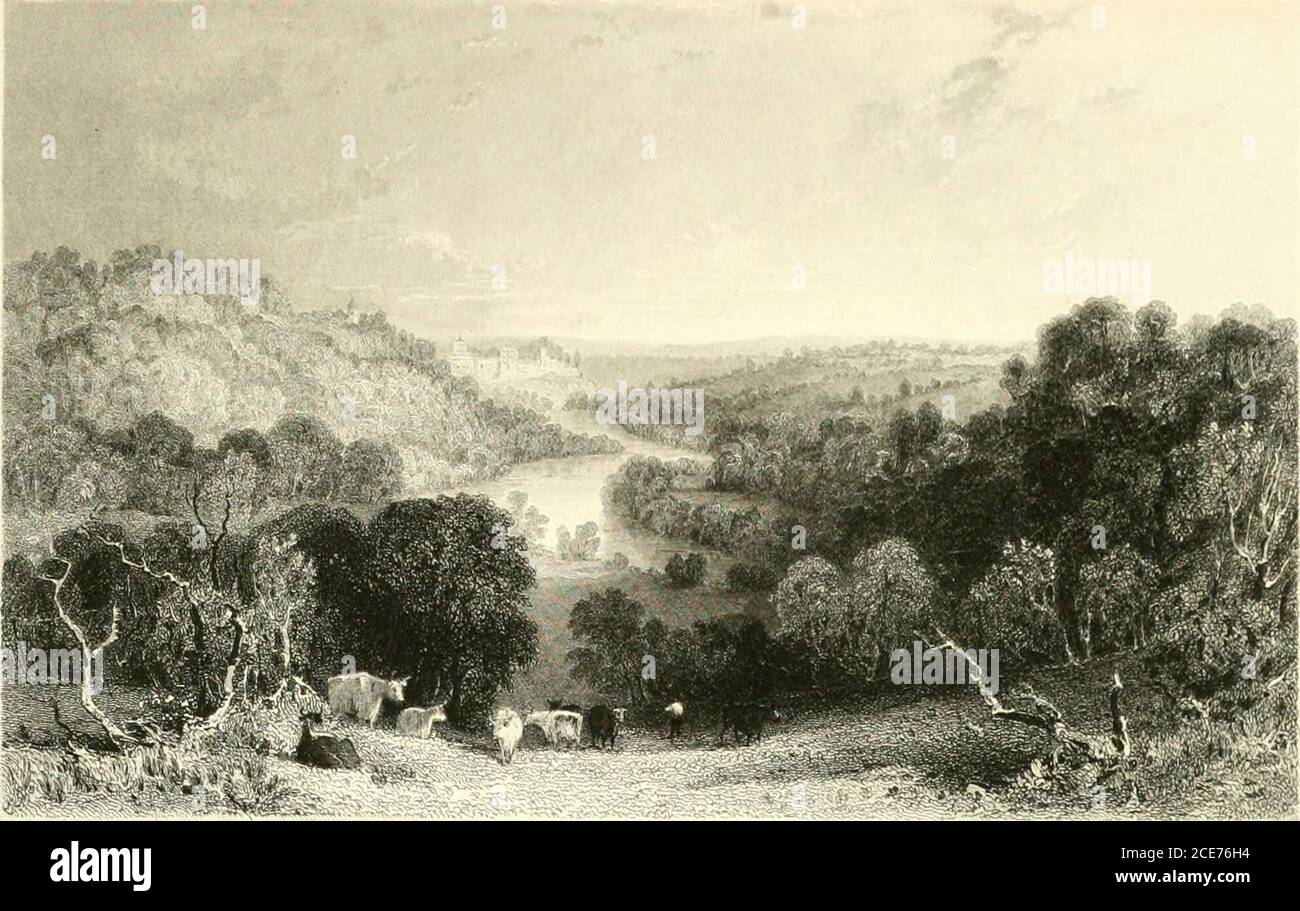 . Westmoreland, Cumberland, Durham e Northumberland, illustrati : dai disegni originali di Thomas Allom, George Pickering, & c. ; con descrizioni di T. Rose . s dei Tees uguale in magnificenza qualsiasi che si trovano nel regno; e di questi, il muso di Caldron è uno dei più notevoli. Nel quartiere di Harwood Common, i Tees si espandono in una specie di lago, calledthe Weel, da dove si precipita su un letto roccioso, e forma innumerevoli cascate. Circa amile sotto il Weel è la cascata chiamata Caldron snout. Qui il maddendTees withmaniac fury schiume; e un movimento tremulous è com Foto Stock