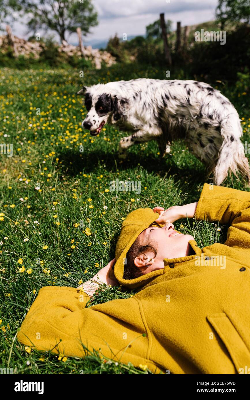 Positiva femmina che giace su archiviato con fiori e godendo il sole Con cane inglese Setter in estate con gli occhi chiusi Foto Stock