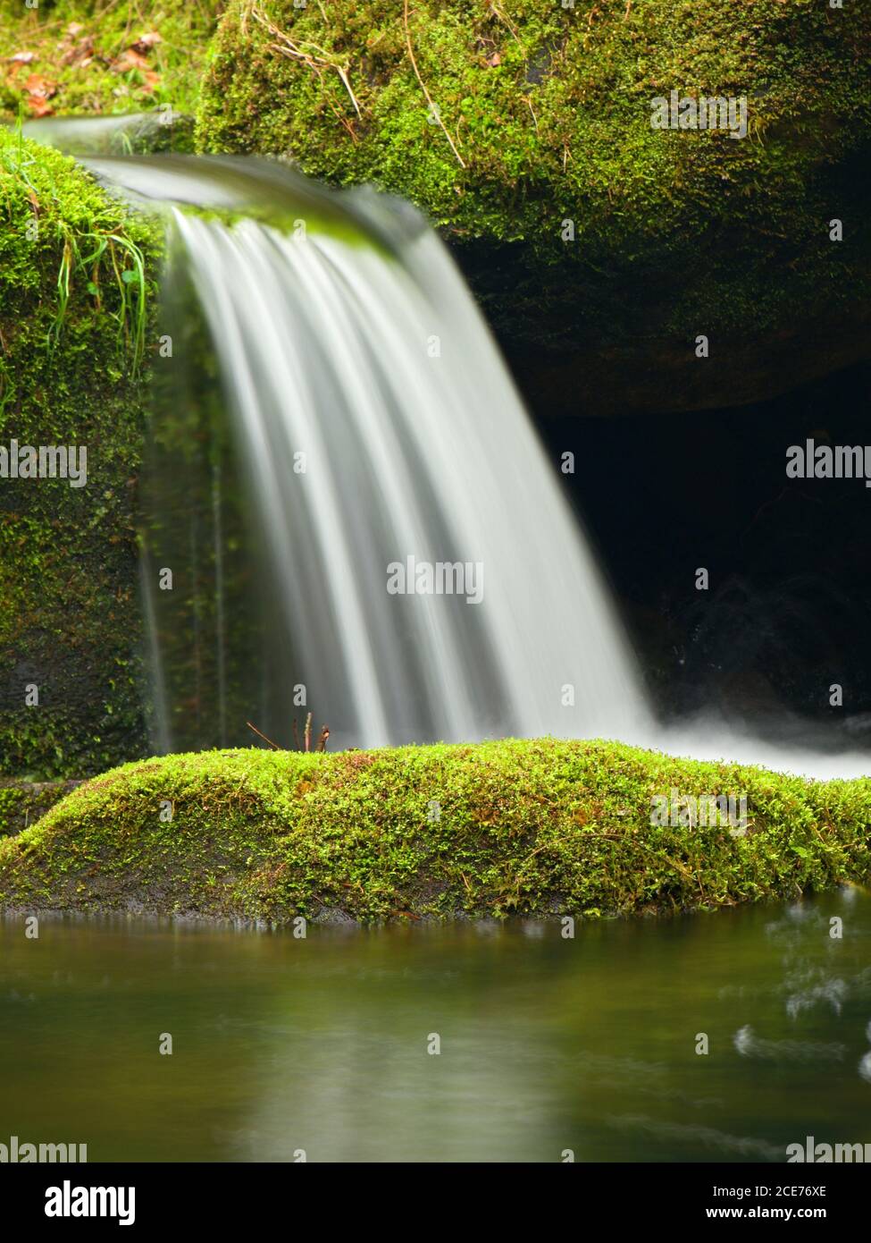 Cascata sul piccolo ruscello di montagna. L'acqua fredda di cristallo sta cadendo sopra i massi di mussoso di basalto in piccola piscina. Foto Stock