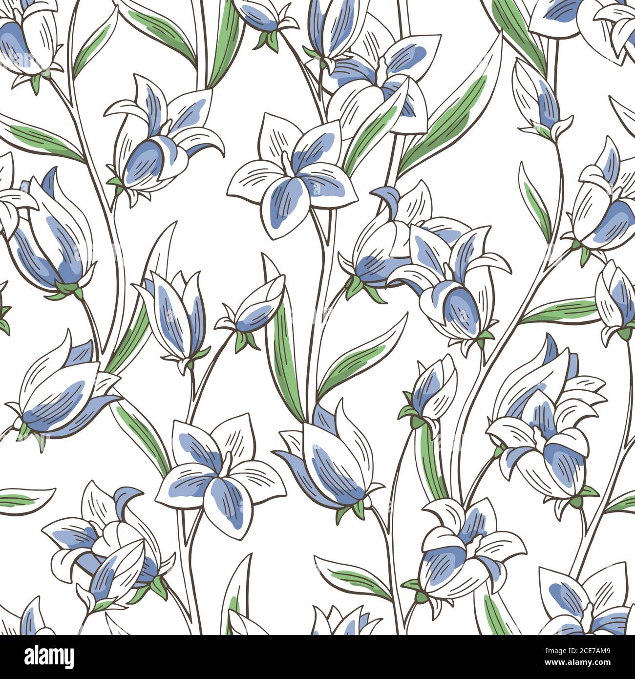 Bluebell fiore colore grafico motivo senza giunture schizzo sfondo illustrazione vettore Illustrazione Vettoriale