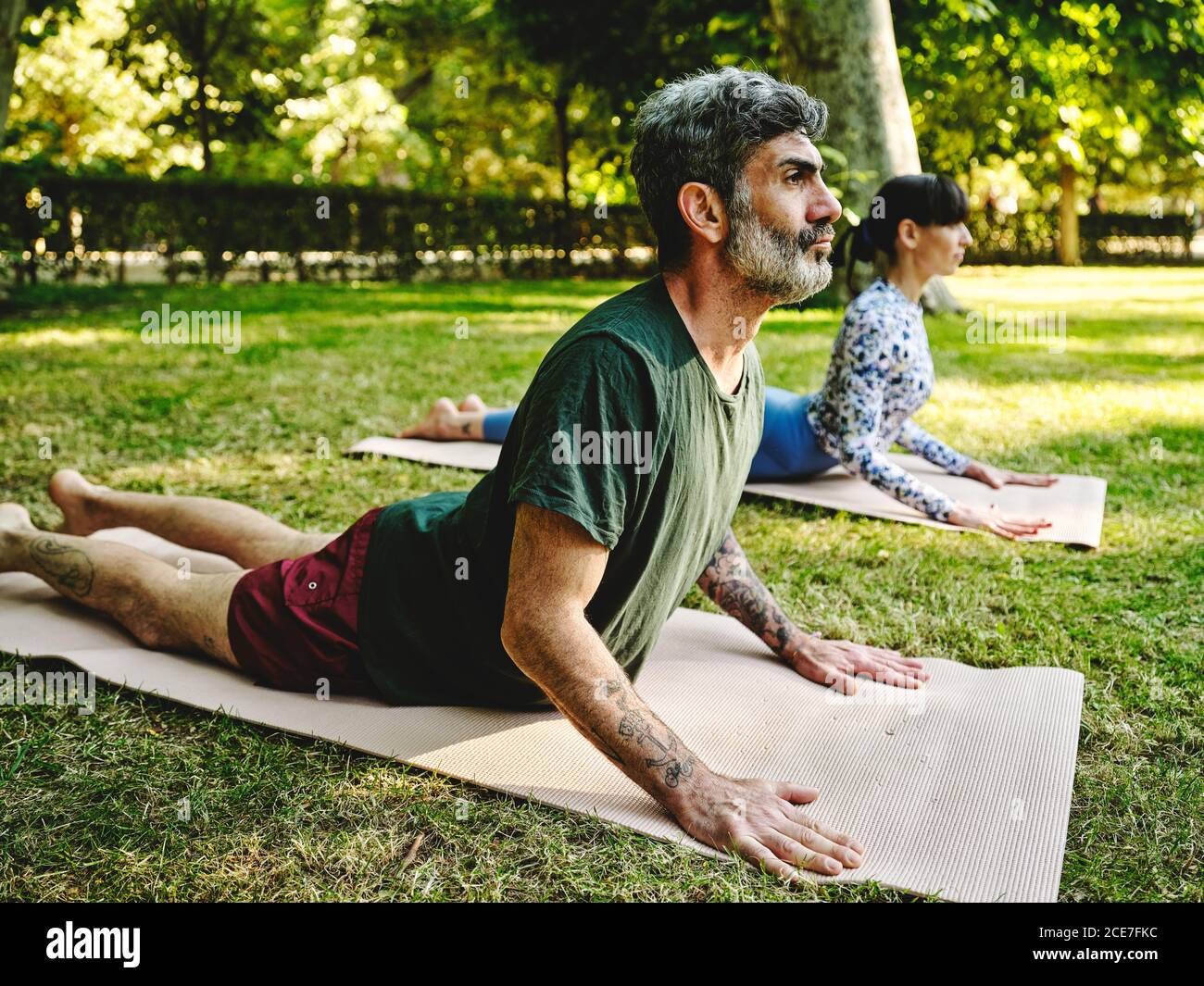 Vista laterale di una coppia serena che pratica yoga a Bhujangasana ON tappetini nel parco verde d'estate Foto Stock