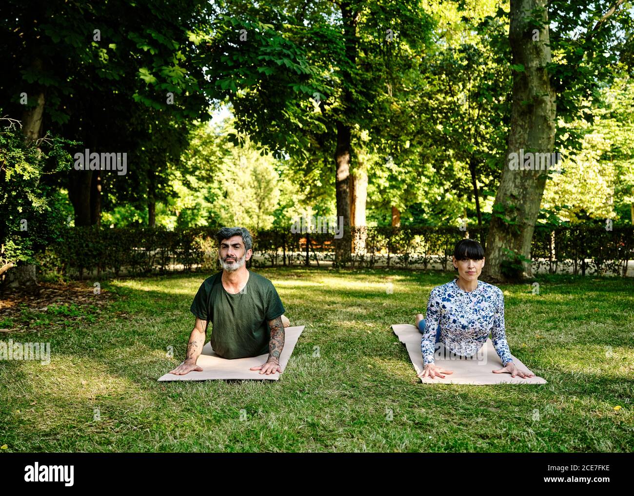 Coppia serena che pratica yoga a Bhujangasana su tappetini in verde parco in estate Foto Stock