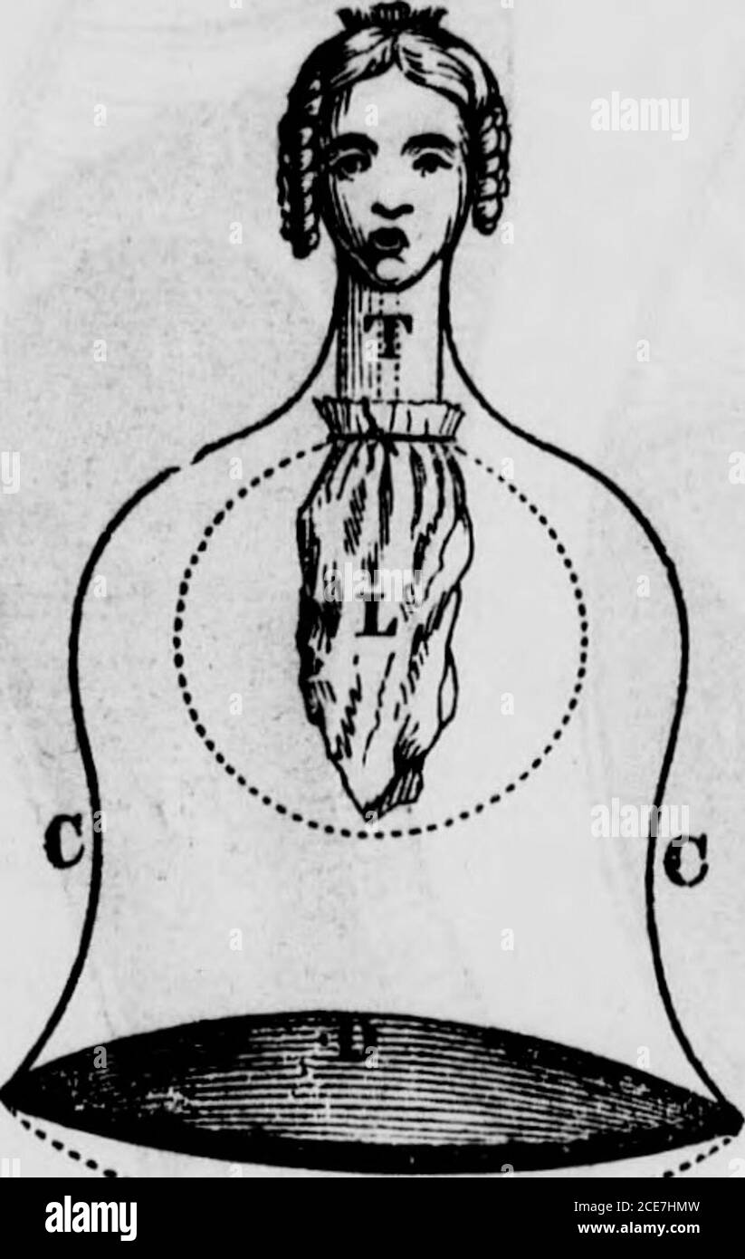 . Il medico di famiglia idropatico : un prescrittore pronto e consulente igienico con riferimento alla natura, cause, prevenzione, e trattamento di malattie, incidenti, e vittime di ogni genere. Su Op il Thorax, o Chest. Dire, del piano superiore, come abbiamo visto, croci alle costole inferiori. ICan non fare meglio nel dare ai miei lettori una descrizione dei contenuti del petto, che per citare le parole del Dr. Erasmus Wilson, uno scrittore verysuccinct e acwite sull'anatomia. Fig. 41.. C, C, fig. 41, è un vetro a forma di campana, a rappresentare il più possibile nella bocca del vetro è inserito, molto strettamente, un sughero, T. Foto Stock