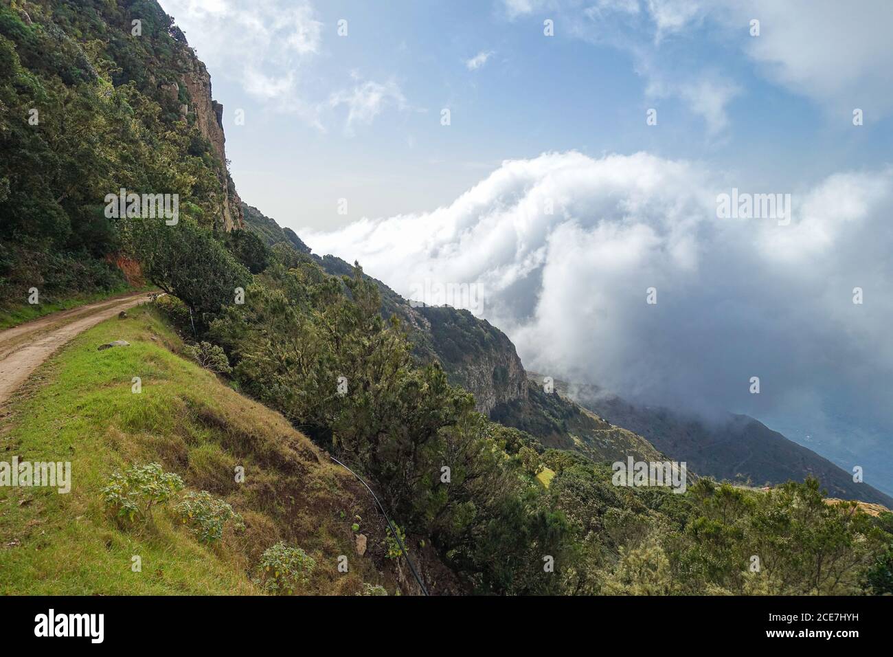 Sentiero escursionistico sopra le nuvole vicino Arguamul nel nord-ovest Dell'isola di la Gomera Foto Stock