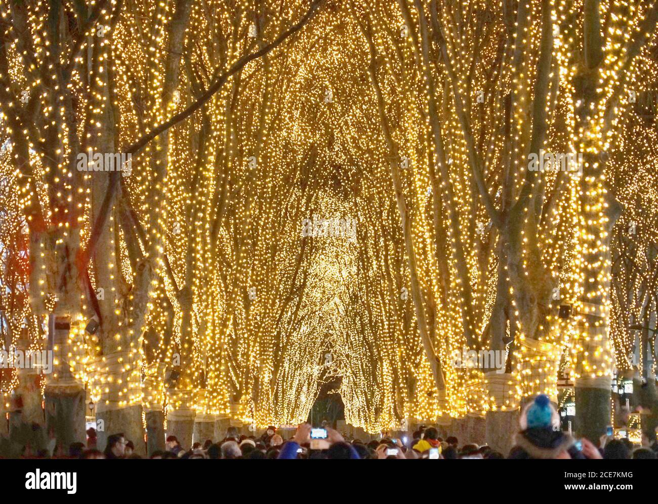 Immagine sfarzosa della luce di Sendai Foto Stock