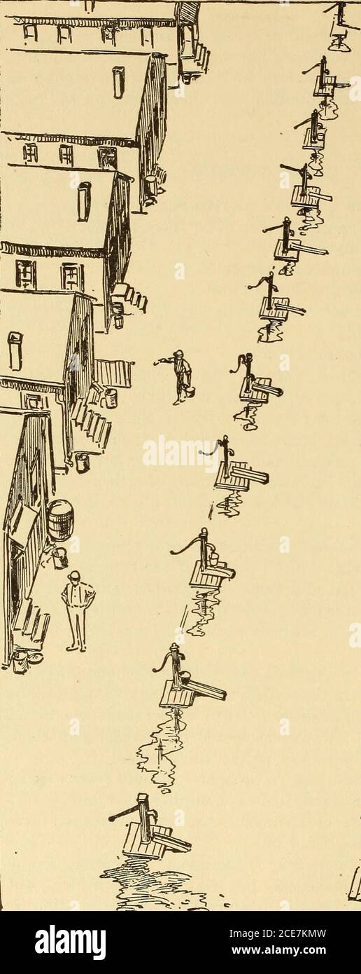 . Dr. Evans' come mantenere bene; . le ostriche che vengono galleggianti o ingrassati in acqua fallo. Fino a che le basi di ostriche sono bettersupervised e più informazioni sono disponibili quanto a che sono di destra e che cosa non sono, ostriche e vongole dovrebbero essere cucinate prima di essere mangiate. Nessuna persona dovrebbe maneggiare il cibo che ha recentemente avuto febbre tifoide o whois un vettore tifoide. Lavare le mani prima di maneggiare il cibo e prima di mangiare non è un papà. È il meglio del buon senso e della prudenza. Nessun corpo dovrebbe mai mangiare senza lavare le mani. Le mosche possono portare i bacilli tifoidi allo zucchero, al pane, al burro o ad altri arti Foto Stock