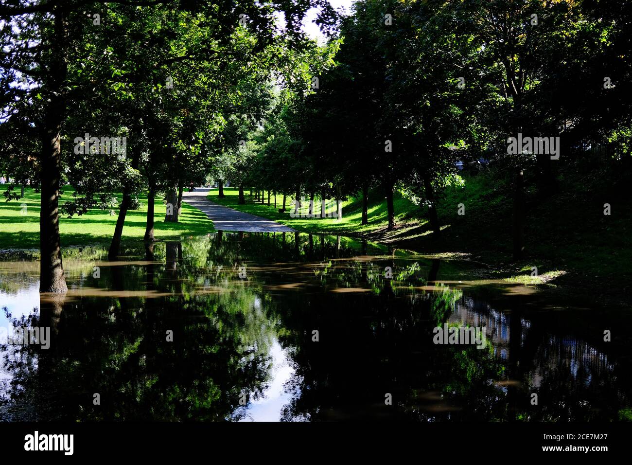 Kelvingrove Park (pozze e riflessi di alberi), Glasgow, Scozia. (Agosto 2020, blocco) Foto Stock