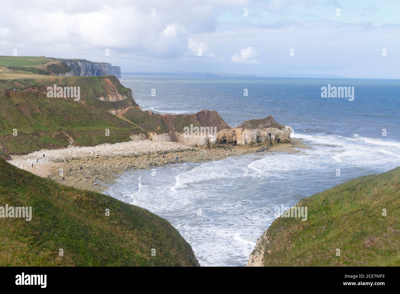 Guardando verso le scogliere di Bempton da Thornwick Bay sulla East Yorkshire Coast, Regno Unito Foto Stock