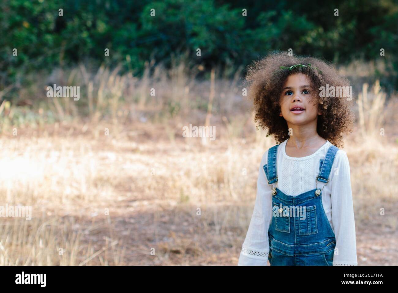 Ritratto di adorabile ragazza etnica calmo che indossa un elegante abito colorato durante la giornata estiva in natura Foto Stock