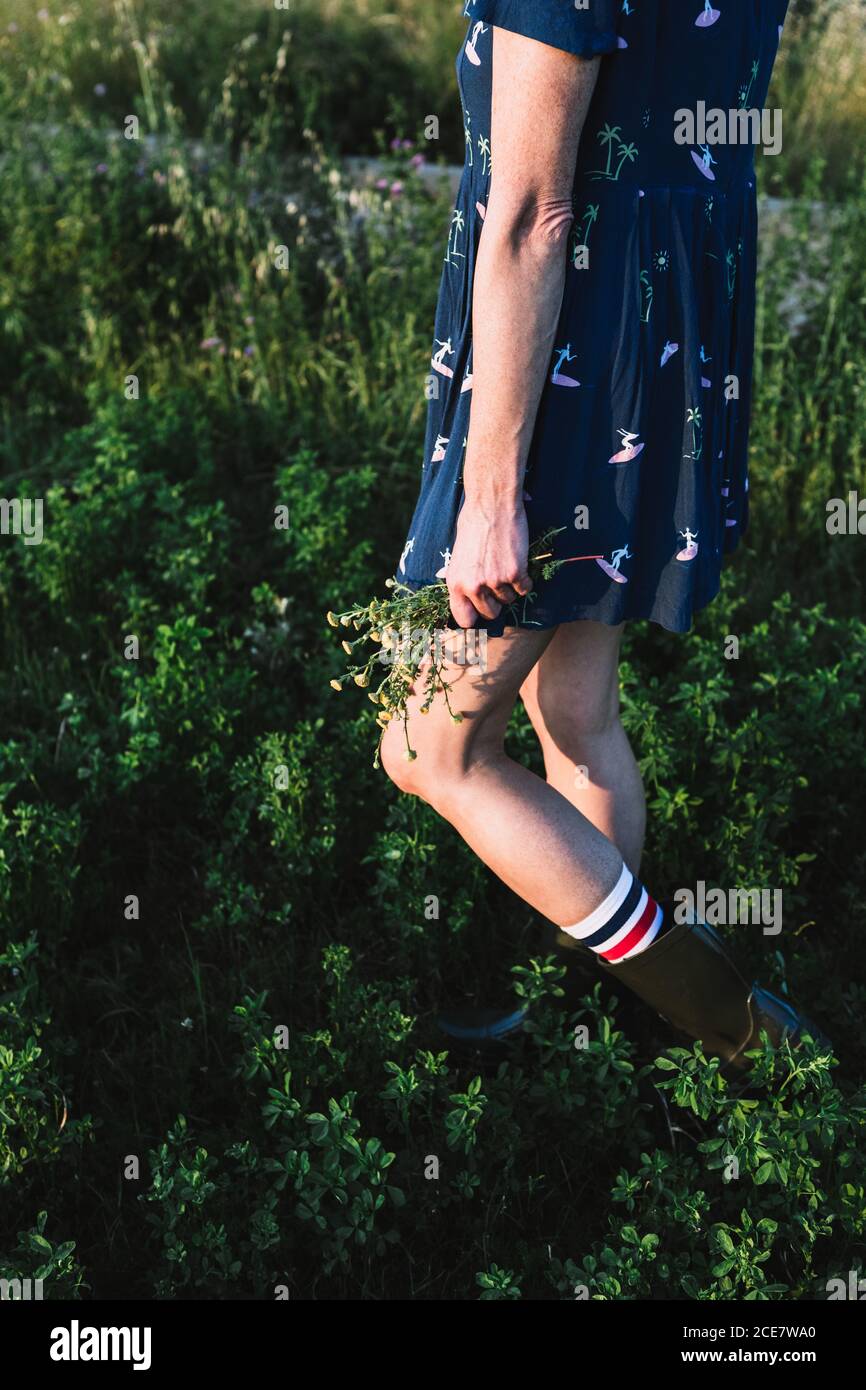Vista laterale di anonima donna spensierata in abito e gomma stivali a piedi che tengono in mano i fiori mentre si gode il fine settimana in campagna in giornata di sole Foto Stock
