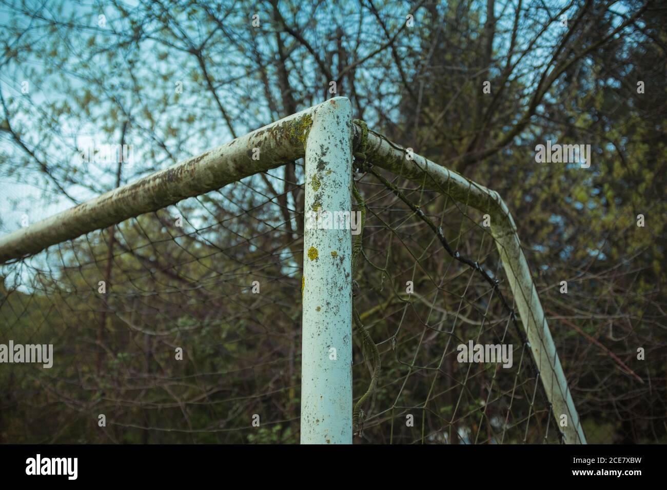 Dal basso della meta di calcio con travi in metallo con scabvicino superficie corrosa e griglia vicino alberi sopravcrescita con rami sottili sotto il cielo blu Foto Stock