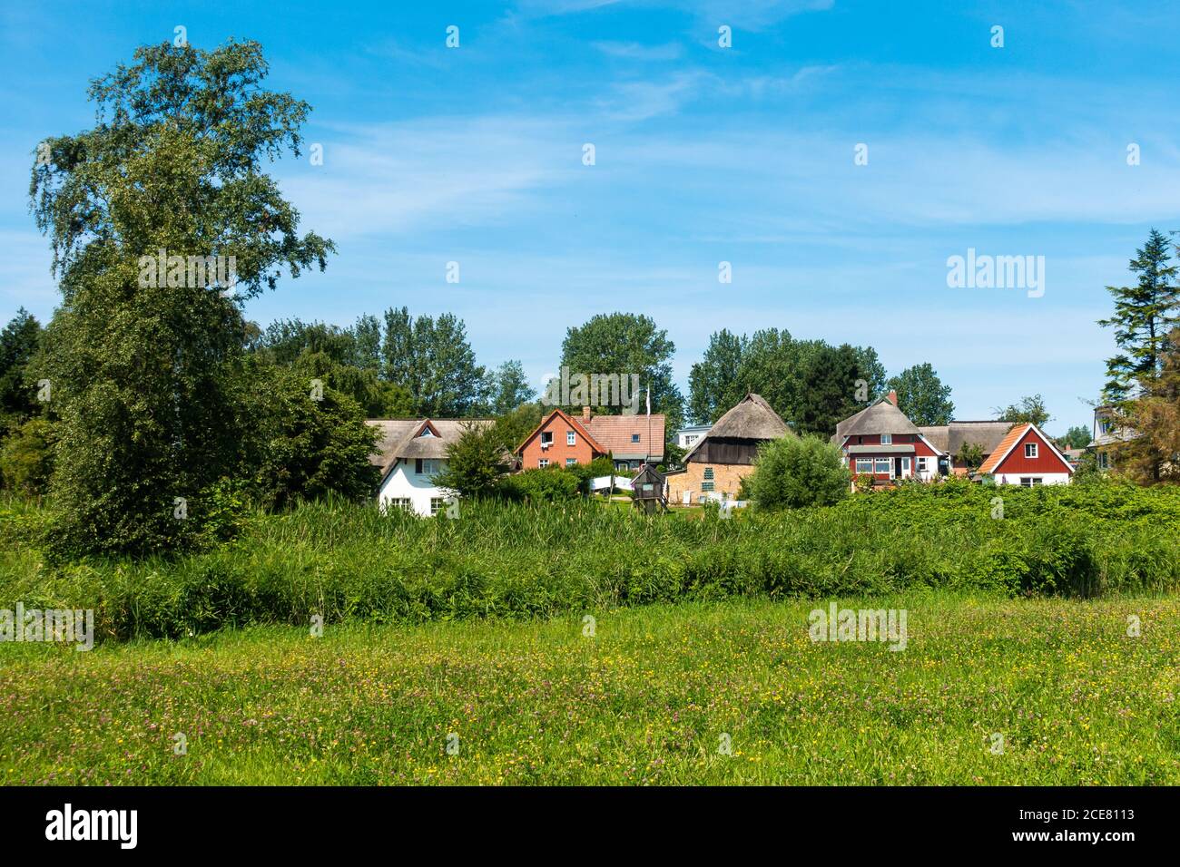 Belle case in Ahrenshop, Fischland-Darss, Meclemburgo-Vorpommern, estate 2020 Foto Stock