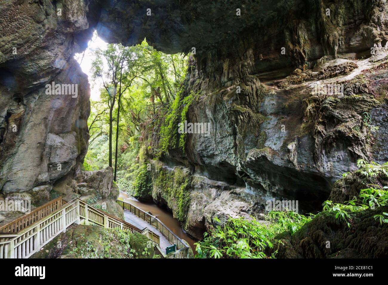 Grotta della Nuova Zelanda Foto Stock