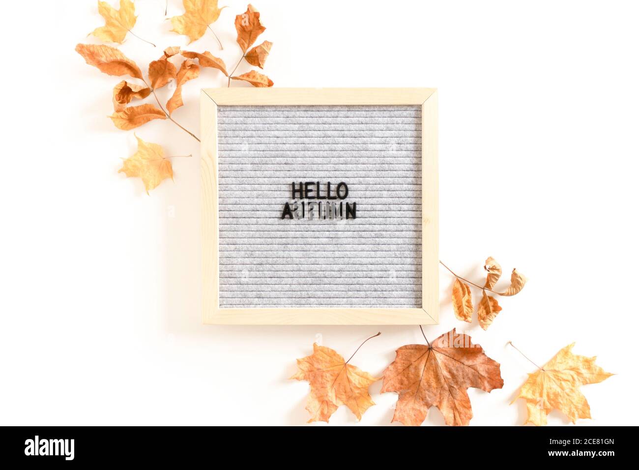 Citazione Ciao autunno. Composizione con cartoncino e foglie di acero essiccate su sfondo bianco Foto Stock