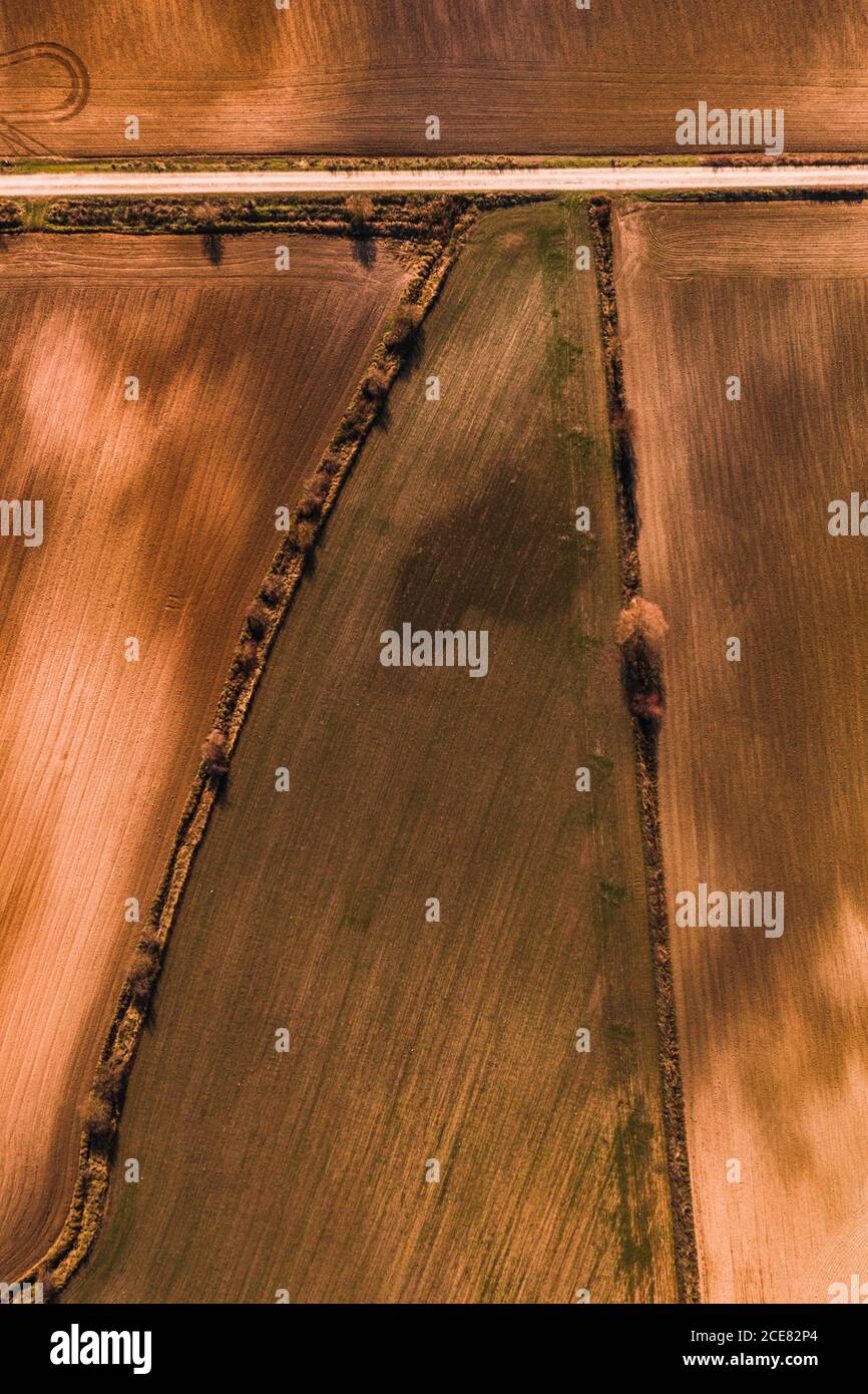 Dall'alto vista aerea della strada rettilinea che attraversa l'agricoltura campo in zona rurale nel giorno d'estate Foto Stock