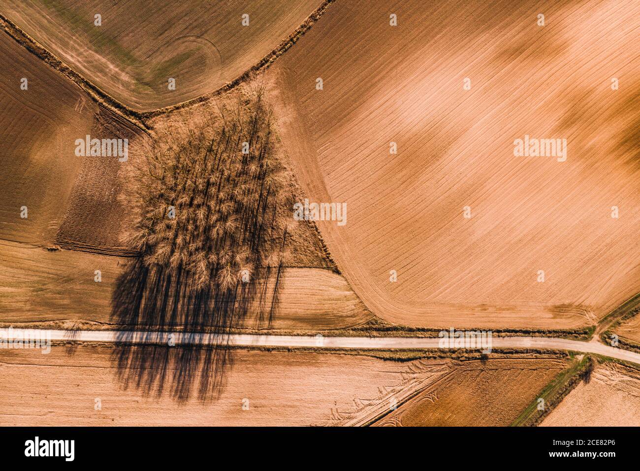 Dall'alto vista aerea della strada rettilinea che attraversa l'agricoltura campo in zona rurale nel giorno d'estate Foto Stock