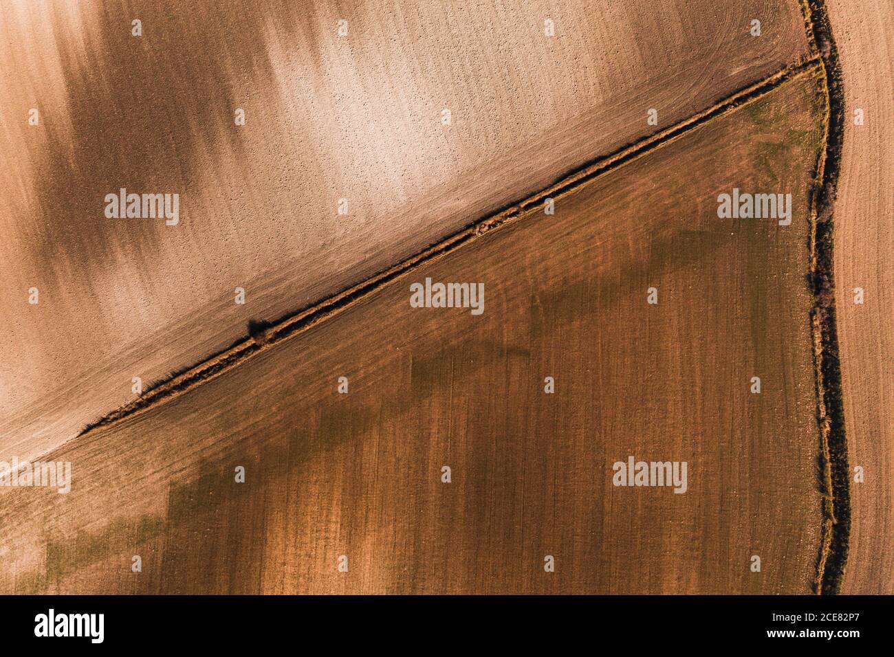 Dall'alto vista aerea del campo agricolo nelle zone rurali in estate Foto Stock