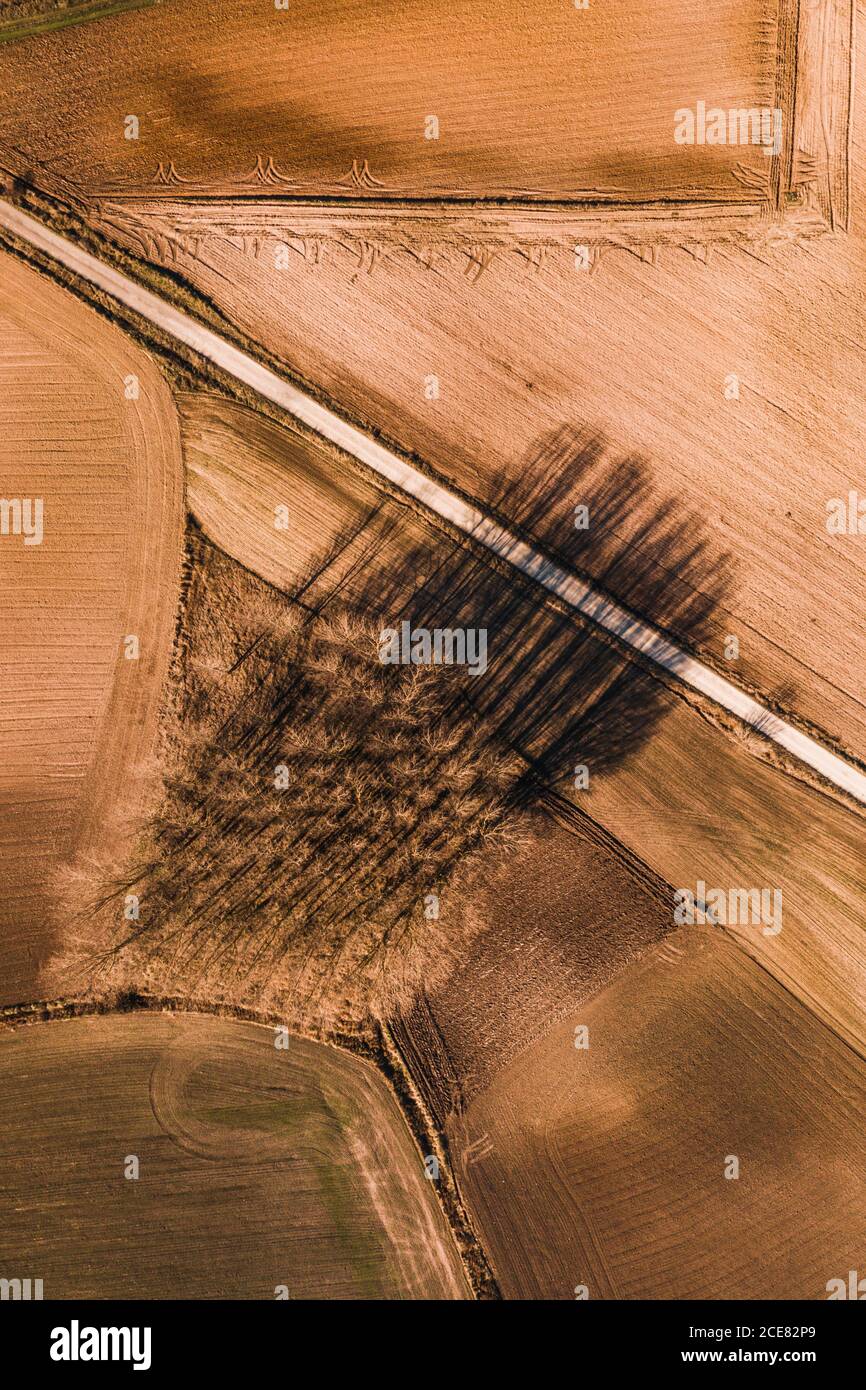 Dall'alto vista aerea della strada rettilinea che attraversa l'agricoltura campo in zona rurale nel giorno d'estate Foto Stock