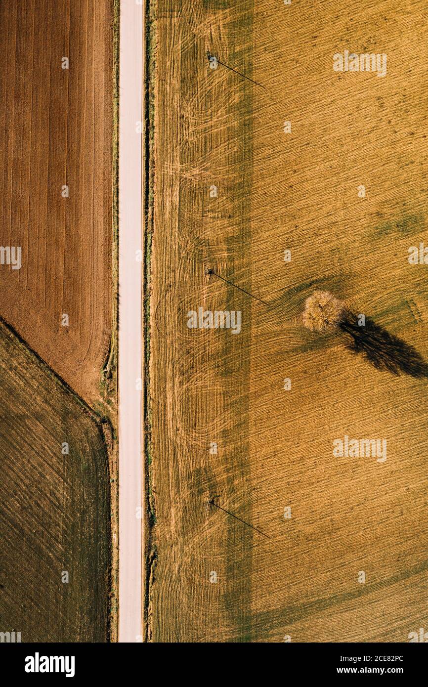 Dall'alto vista aerea della strada rettilinea che attraversa l'agricoltura campo in zona rurale nel giorno d'estate Foto Stock