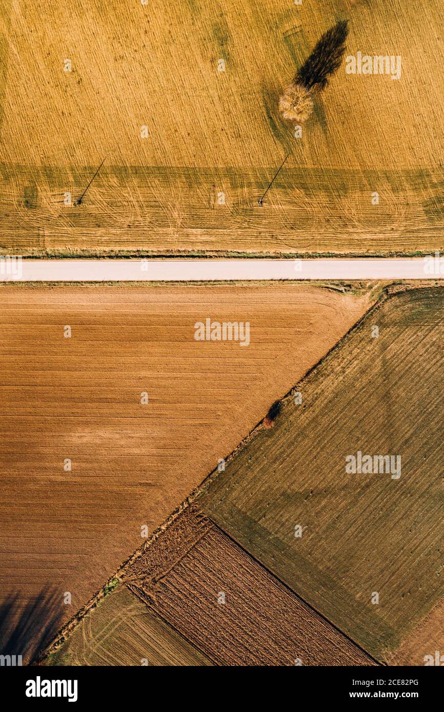 Dall'alto vista aerea della strada rettilinea che attraversa l'agricoltura campo in zona rurale nel giorno d'estate Foto Stock