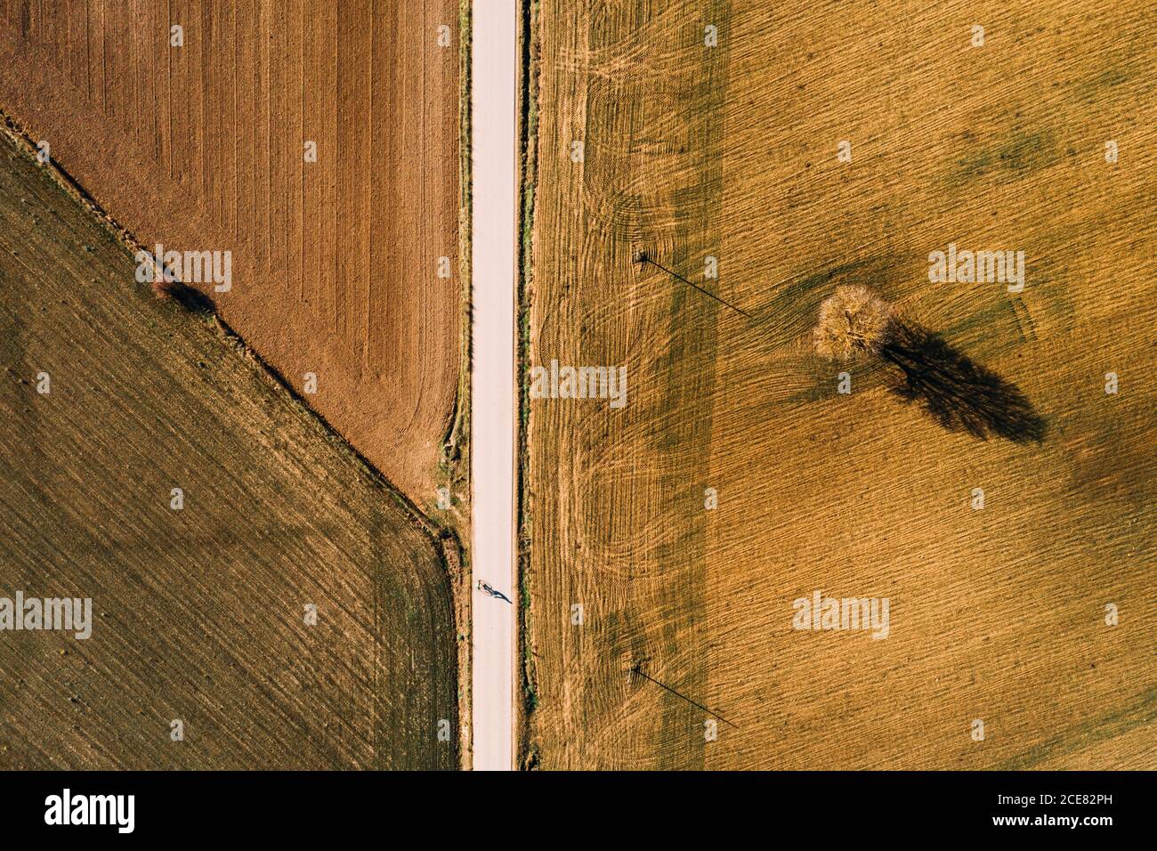 Dall'alto vista aerea della strada rettilinea che attraversa l'agricoltura campo in zona rurale nel giorno d'estate Foto Stock