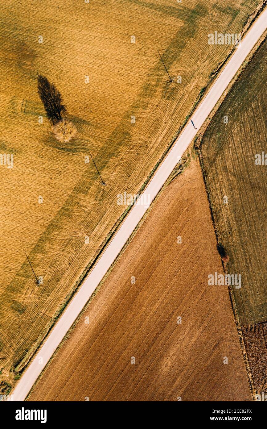 Dall'alto vista aerea della strada rettilinea che attraversa l'agricoltura campo in zona rurale nel giorno d'estate come uomo passeggiate lungo la strada Foto Stock