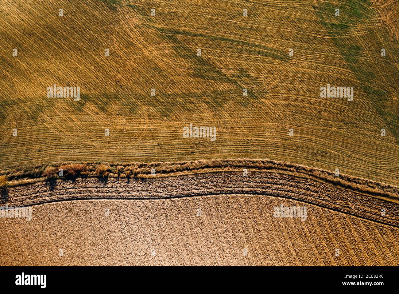 Dall'alto vista aerea del campo agricolo nelle zone rurali in estate Foto Stock