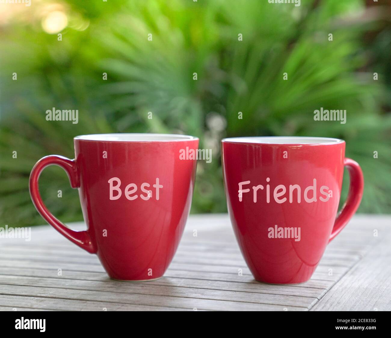 Due tazze rosse con parole migliori amici. Messaggio del giorno dell'amicizia. Foto Stock