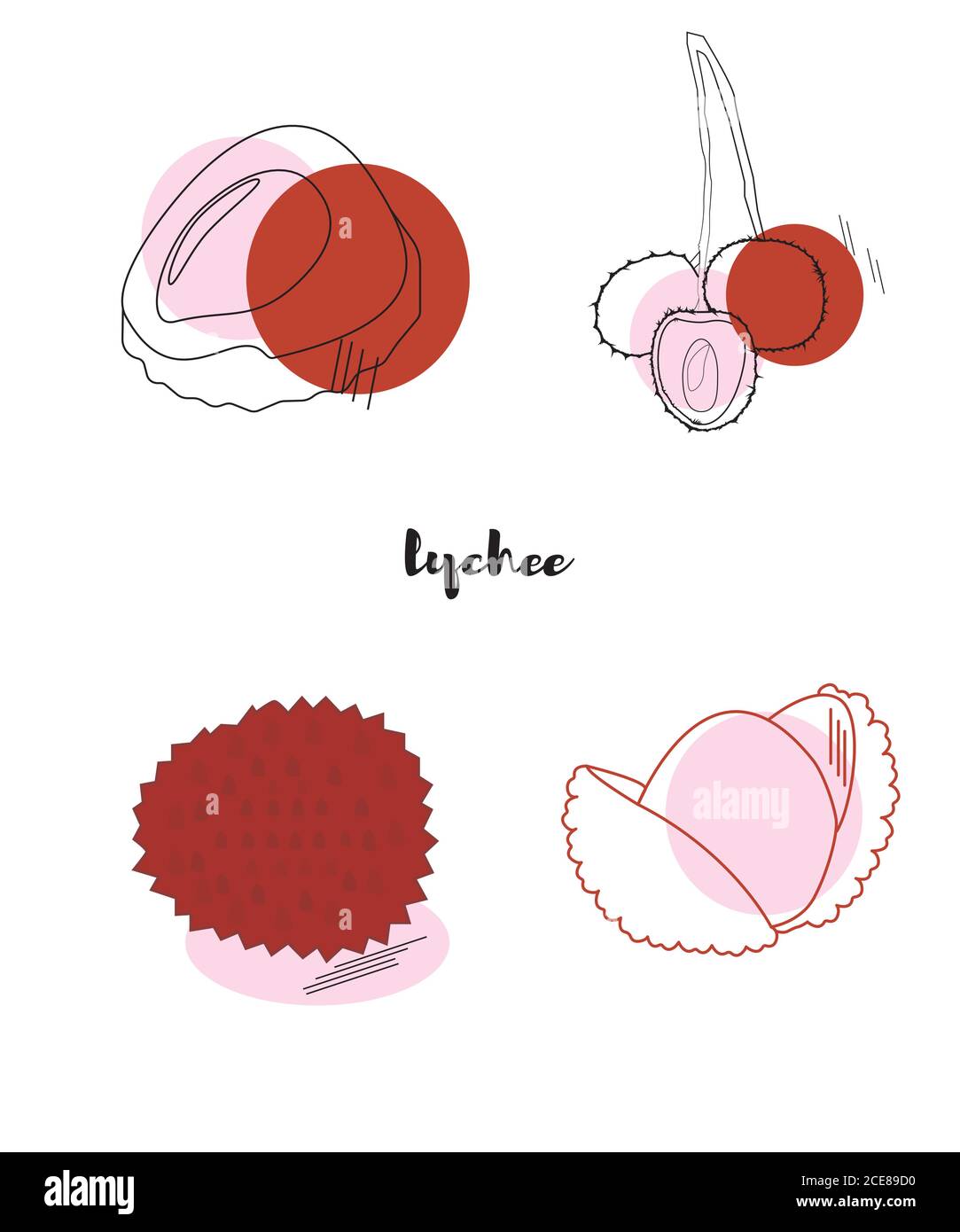 lychee in varie tecniche. frutta tentante e gustosa Illustrazione Vettoriale