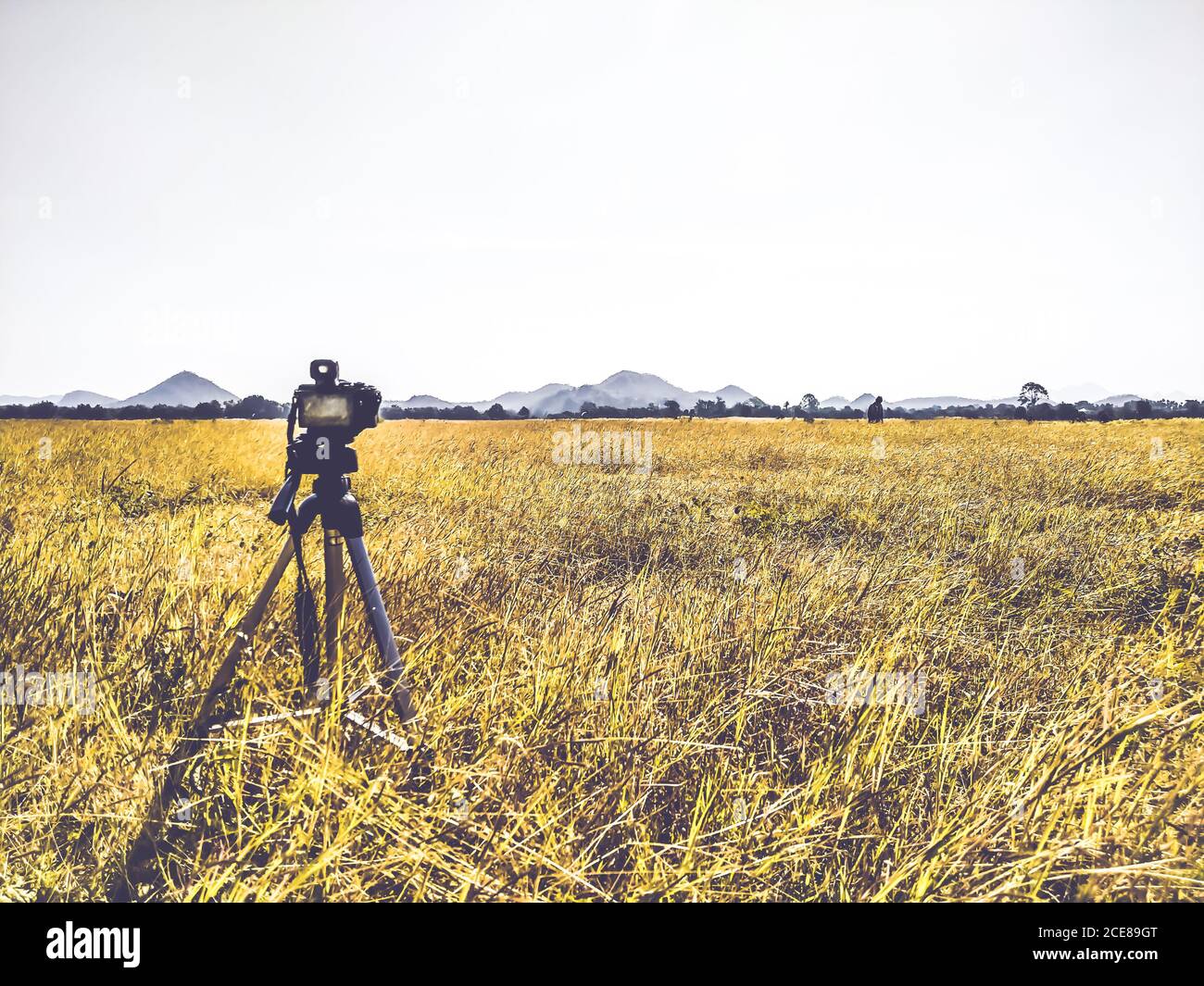 La fotocamera e il treppiede sono in piedi sull'erba. Fotografia naturalistica. Concetto di stile di vita idea sfondo Foto Stock