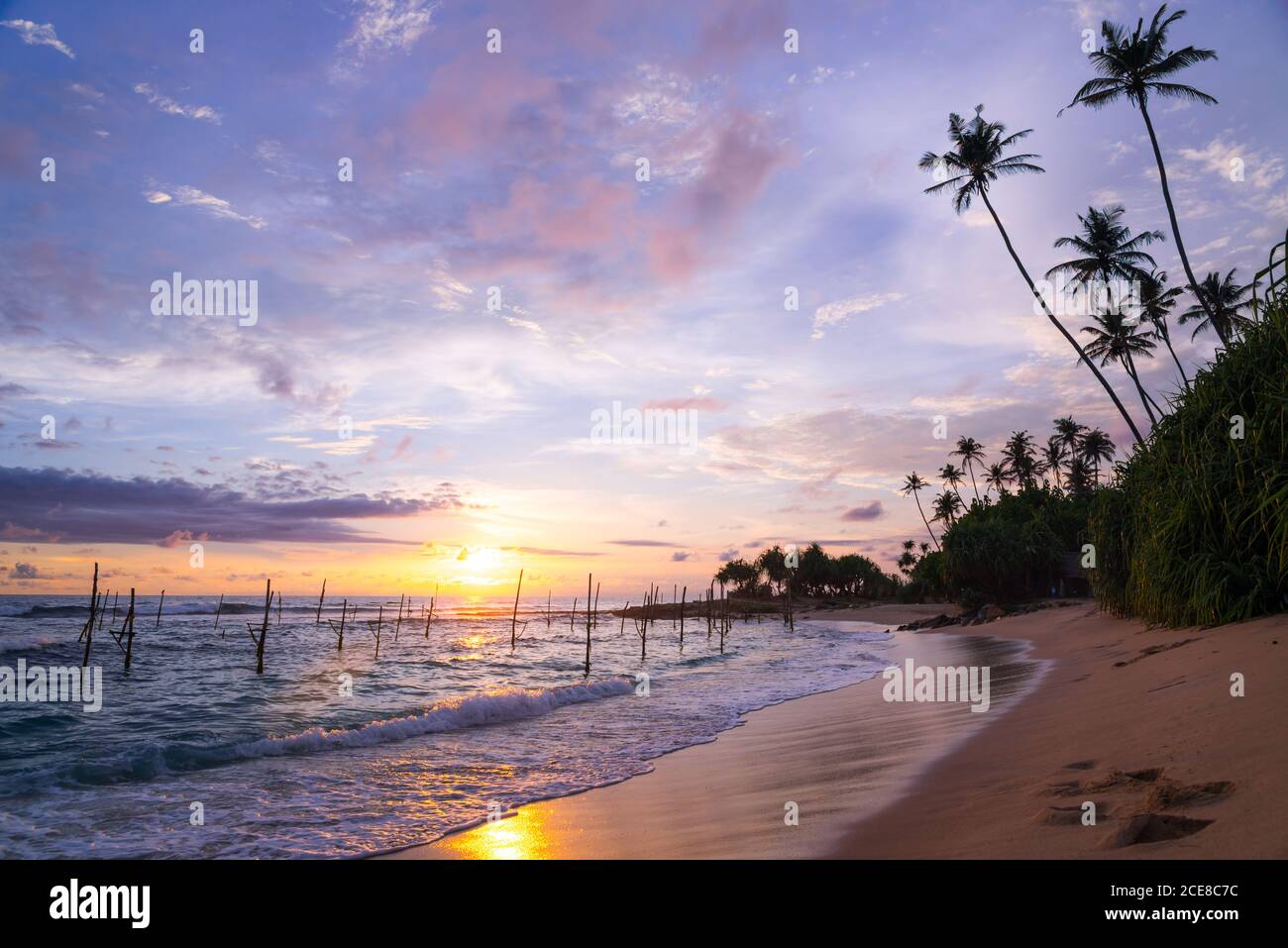 Incredibile scenario di costa sabbiosa con palme e mare con bastoni a palafitte per la pesca tradizionale sullo sfondo del tramonto cielo Foto Stock