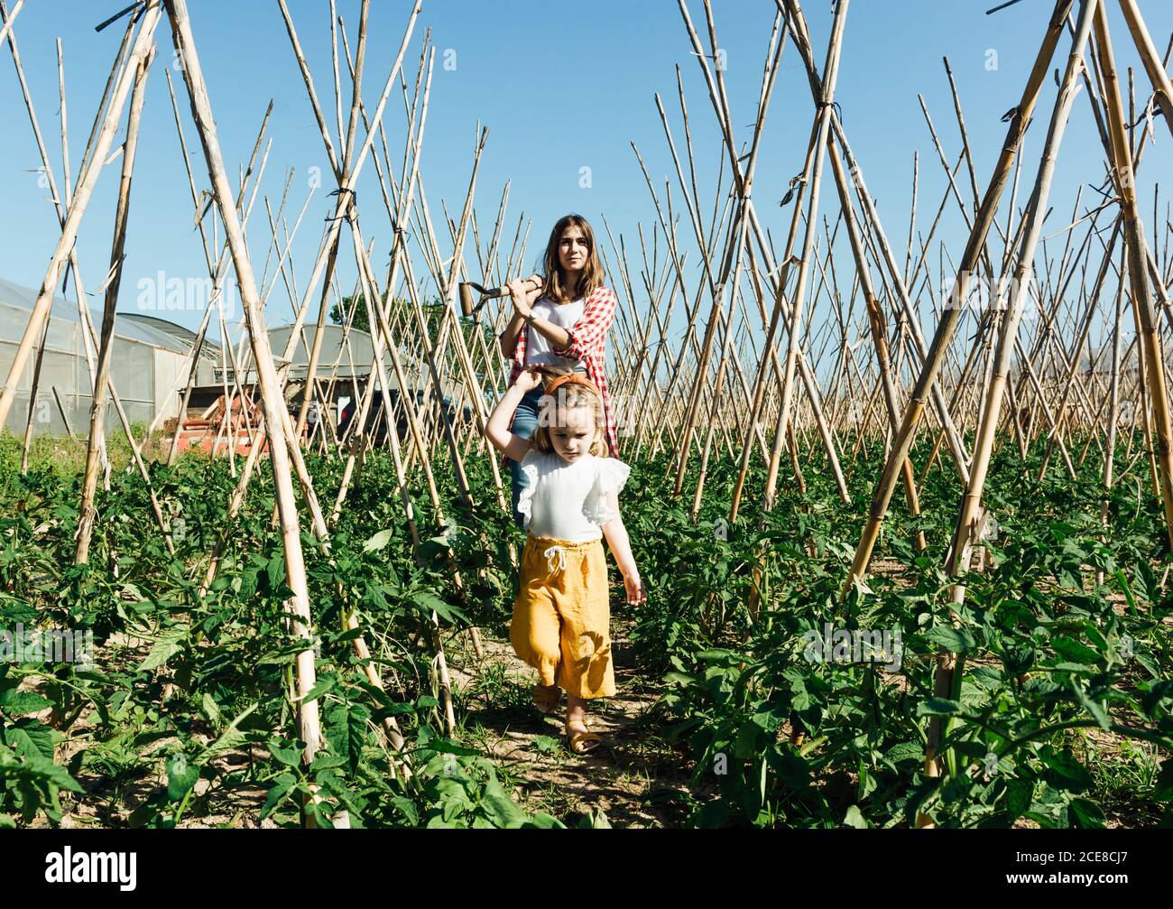 Donna felice e bambina che raccoglie verdure fresche sotto il cielo blu Foto Stock