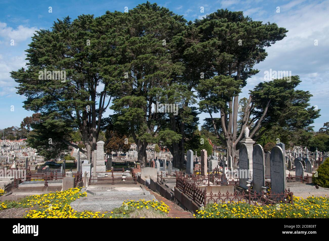 Fondato nel 1854, il cimitero generale di Brighton, in stile giardino, a Caulfield South è uno dei cimiteri più antichi e significativi di Melbourne Foto Stock