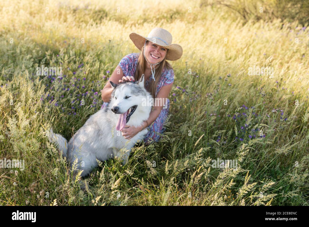 Donna deliziata in abito estivo e cappello di paglia su rilassante Prato con Alaskan Malamute e guardando la macchina fotografica Foto Stock