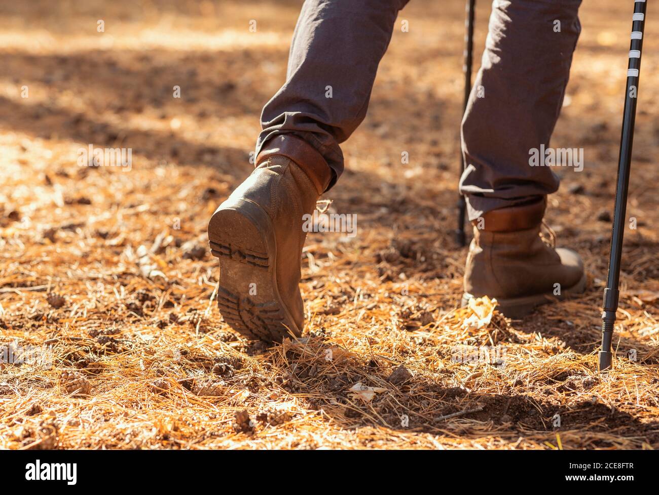 Primo piano di gambe maschili che camminano nella foresta Foto Stock