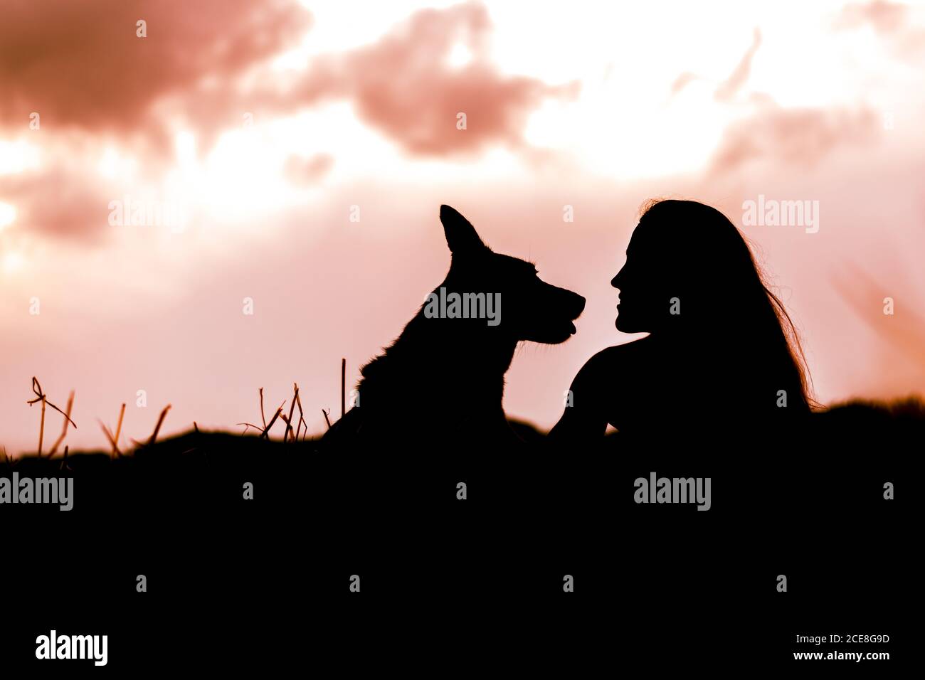 Vista laterale di sagome di femmina e cane con Big orecchie che si guardano mentre si riposano sotto il cielo colorato al tramonto Foto Stock