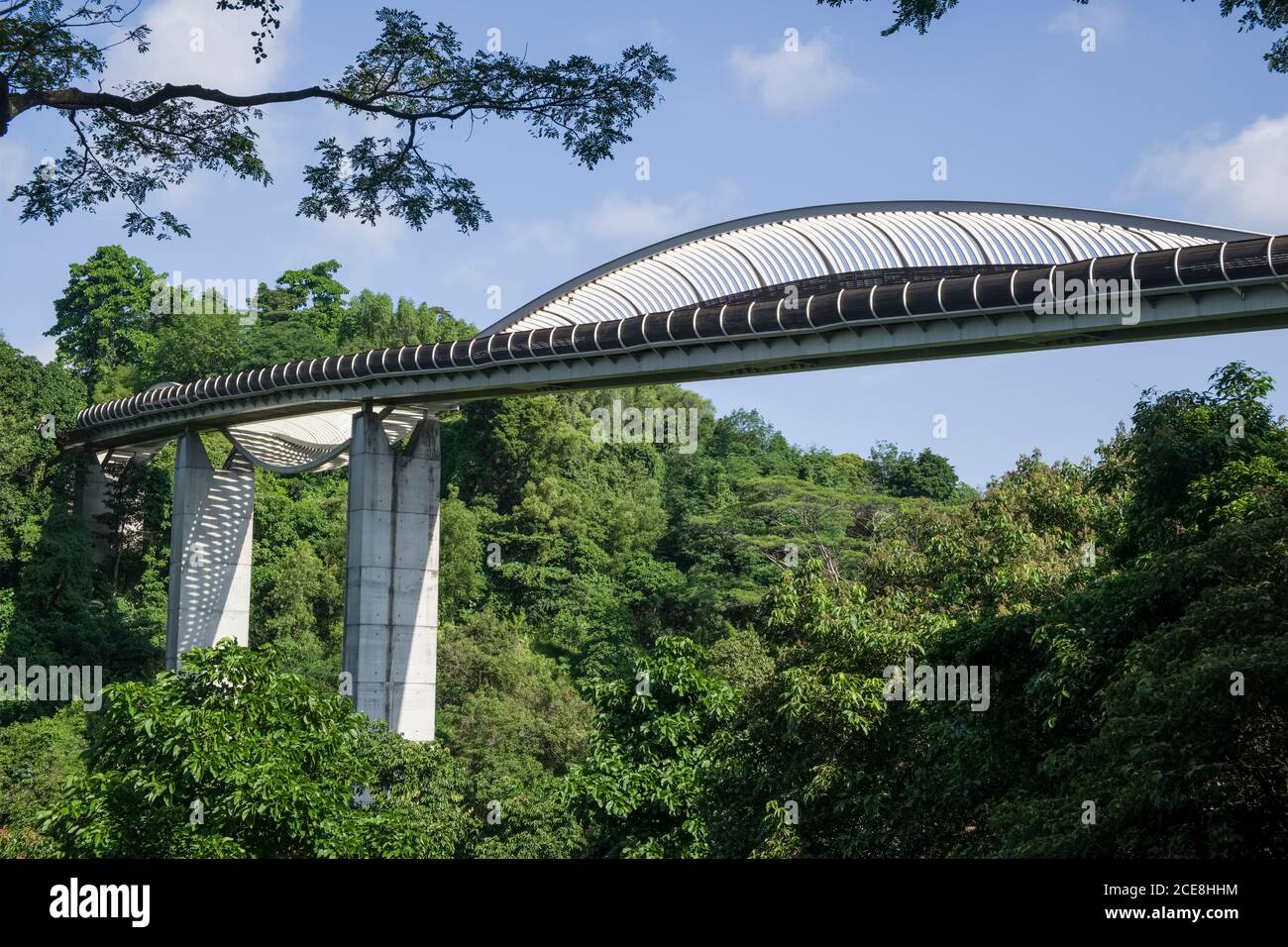 Singapore, Henderson Waves, ponte pedonale sopra Henderson Road e le due colline nei crinali meridionali Foto Stock