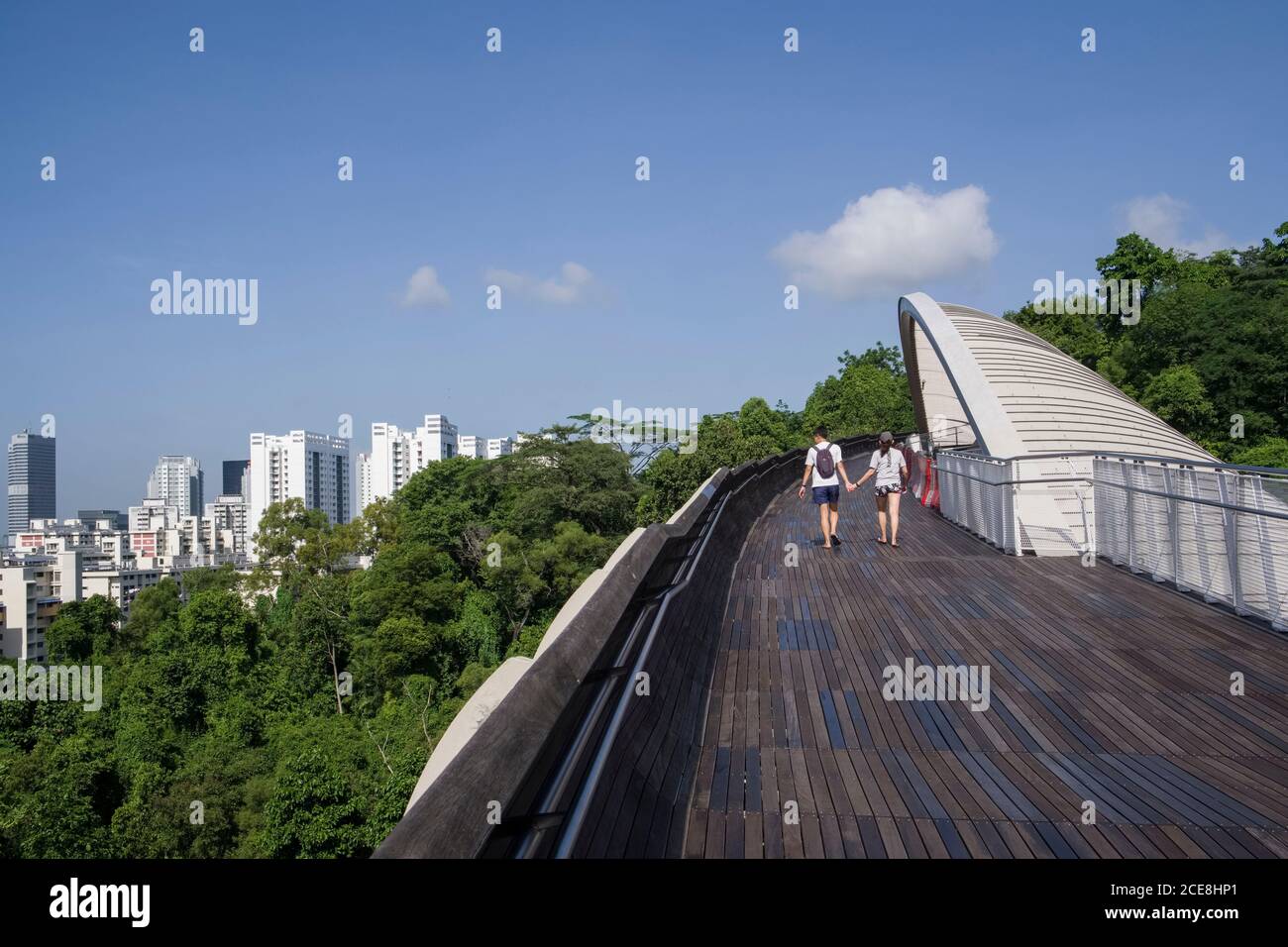 Singapore, Henderson Waves, ponte pedonale sopra Henderson Road e le due colline nei crinali meridionali Foto Stock