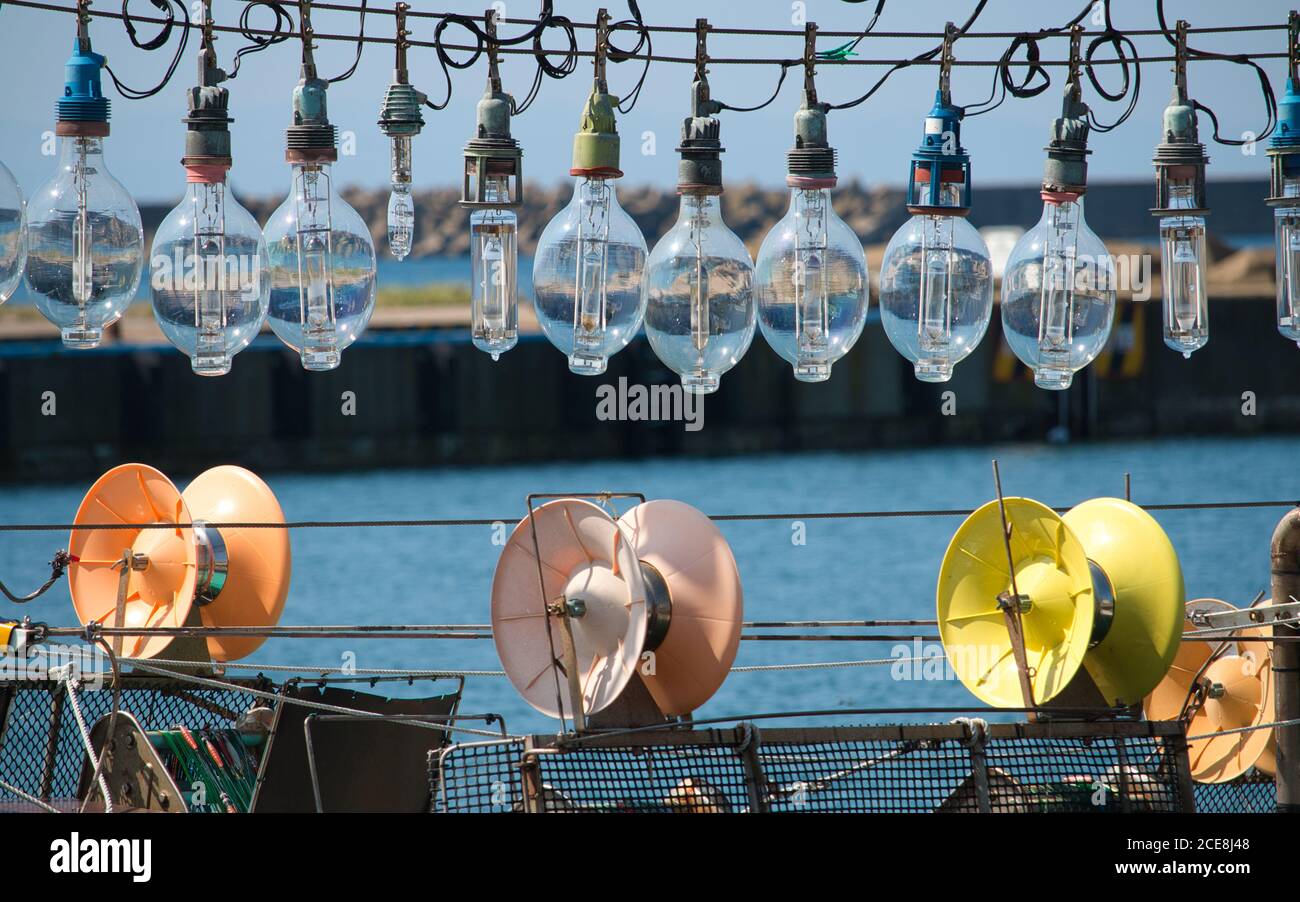 Primo piano di una linea di lampadine su una barca calamari sospeso su colorati macchinari per la jigging Foto Stock