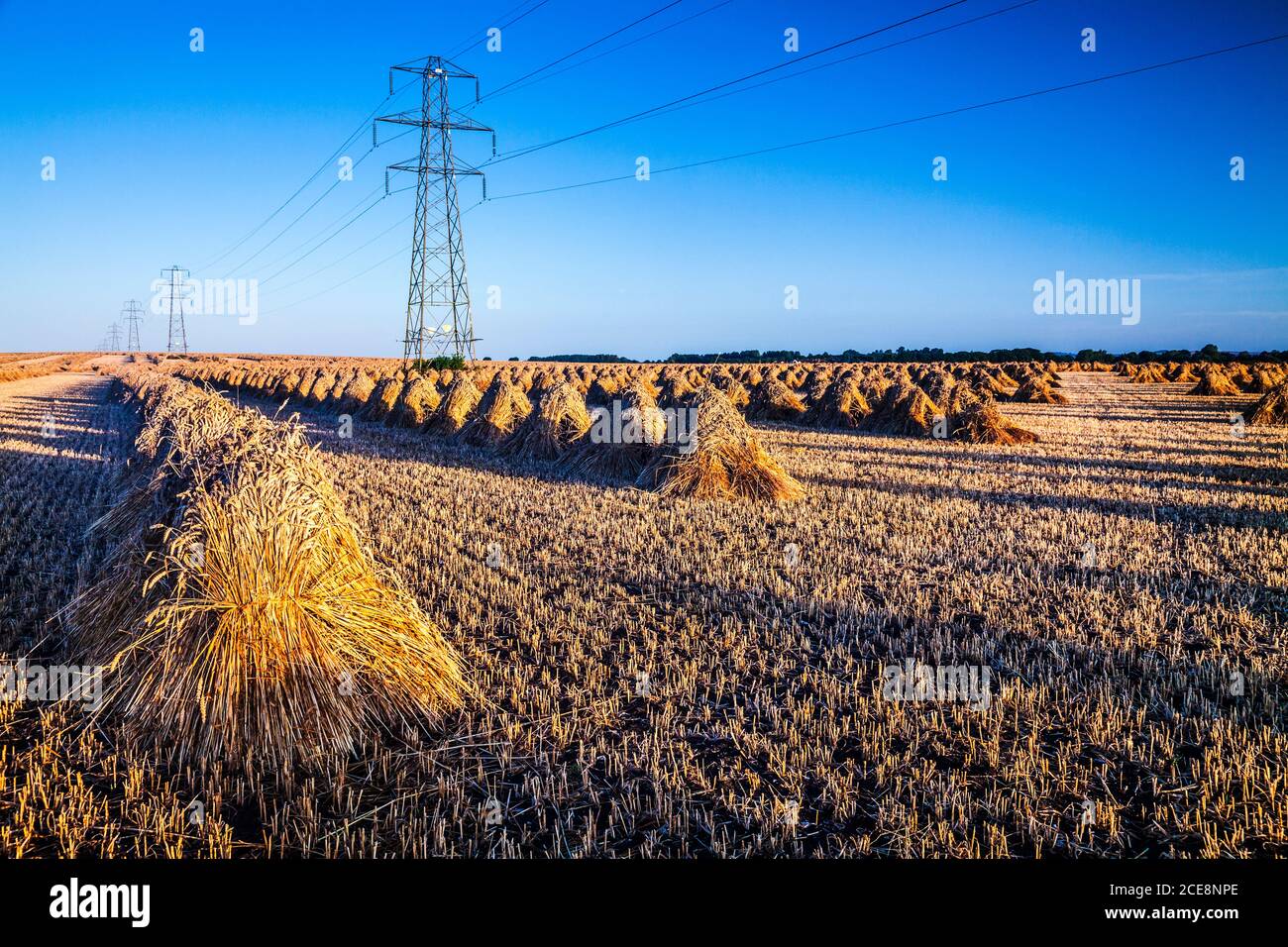 Gli stook tradizionali si contrappongono ai moderni tralicci elettrici in un campo nel Wiltshire. Foto Stock