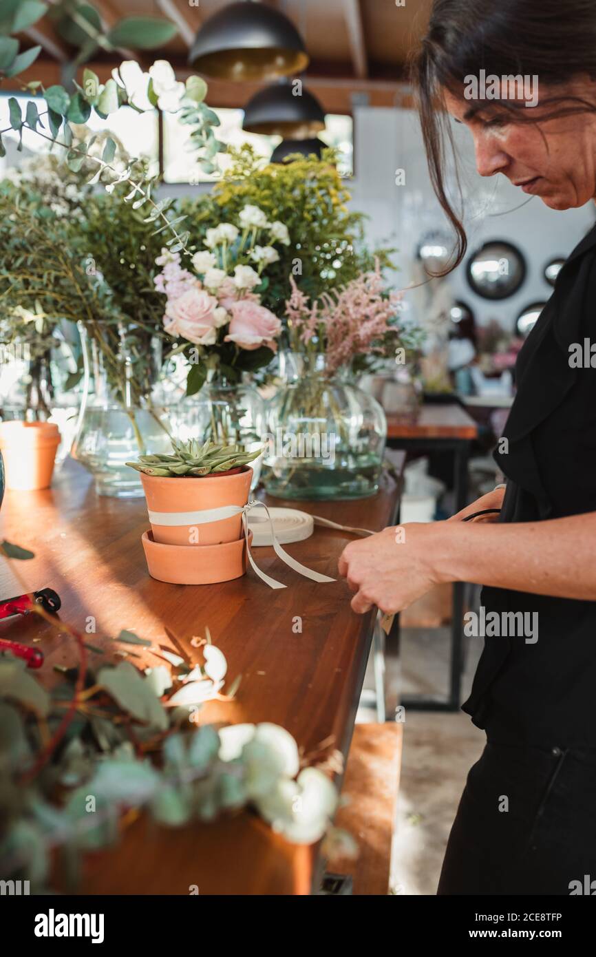 Vista laterale del nastro di legatura per fioristi femminili su ceramica pentola con pianta succulente verde mentre lavorando al contatore dentro laboratorio di floristry Foto Stock