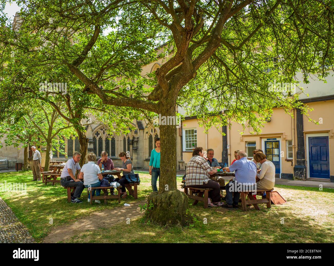 Cafe clienti seduti all'ombra di alberi. Foto Stock
