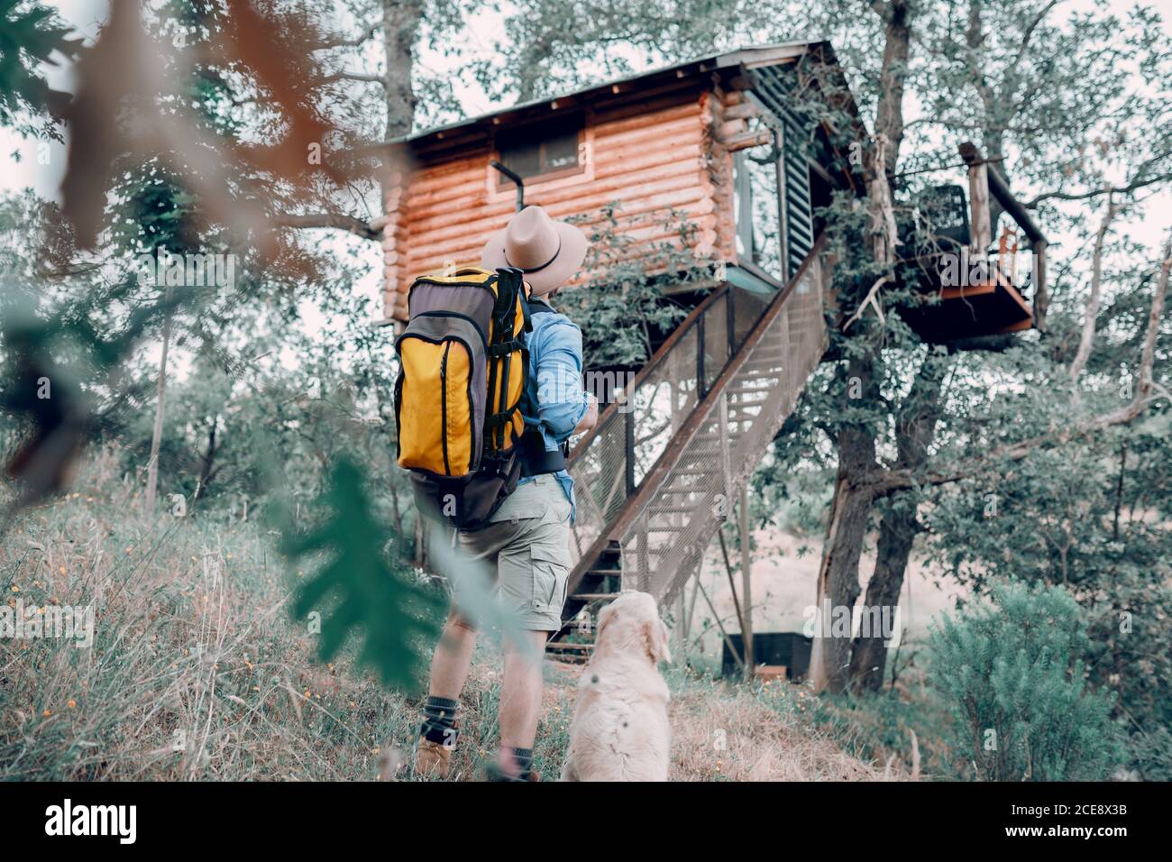 Vista posteriore ad angolo basso di un viaggiatore maschile irriconoscibile con zaino camminando nella foresta con il cane amichevole in una cabina casa su albero Foto Stock