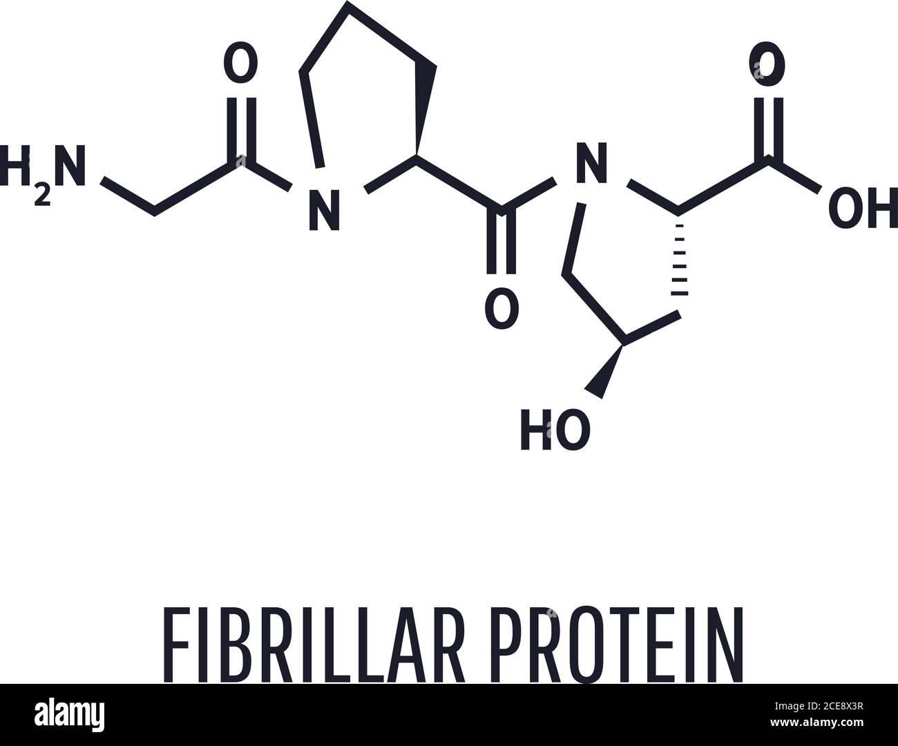 Formula della struttura chimica. Il collagene è una proteina fibrillare che  costituisce la base del tessuto connettivo di tutto l'organismo, fornendo  la sua forza ed elasticità Immagine e Vettoriale - Alamy