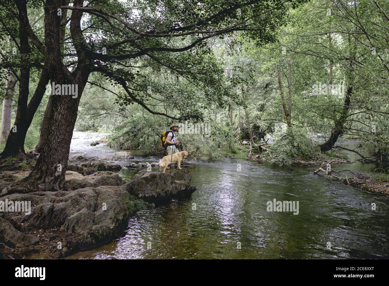 paesaggio di un giovane in un cappello e giallo zaino trekking con il suo cane su un lago d'acqua e molti alberi verdi-frondosi Foto Stock